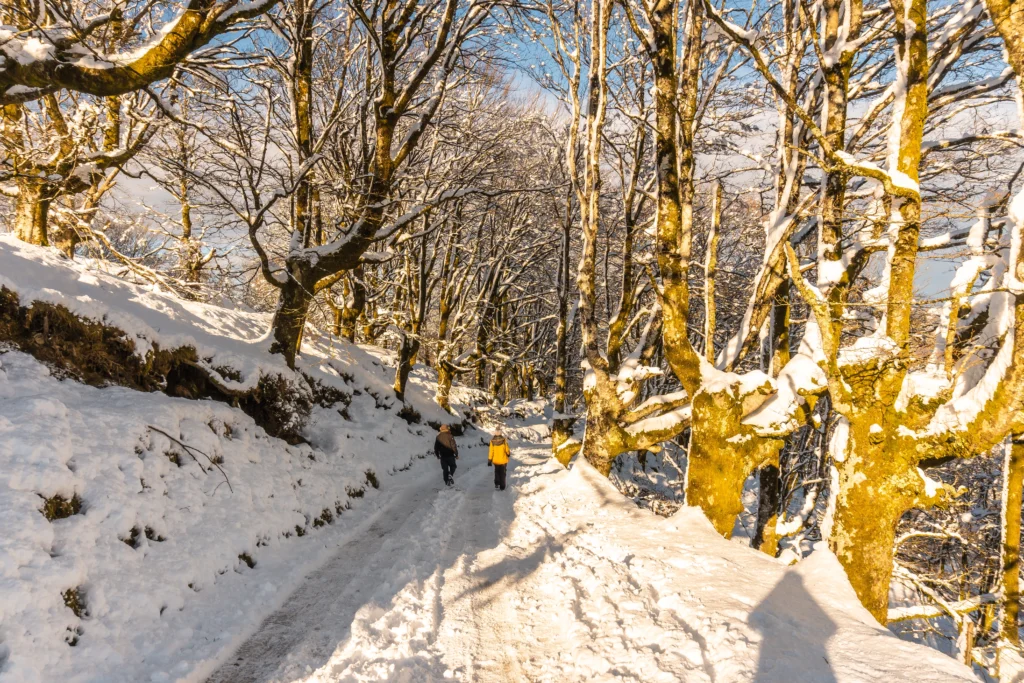 Best Winter Getaways in the USA