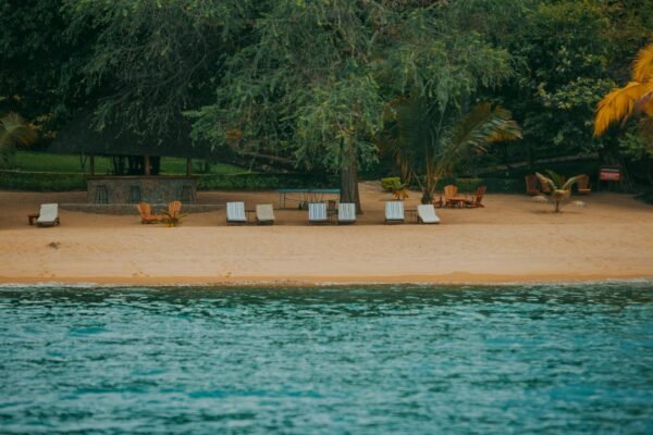 Discover 6 ways to maximize the Chase Sapphire Preferred as a beginner traveler. Learn how to unlock travel perks and redeem points effectively for your next adventure.