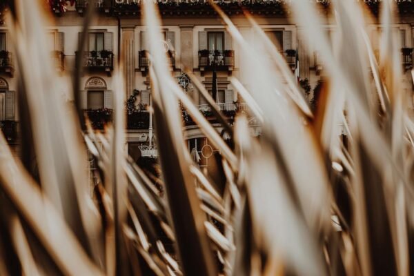 Discover 6 practical ways to maximize the Chase Sapphire Preferred points, helping beginners travel smart and explore more while saving money.