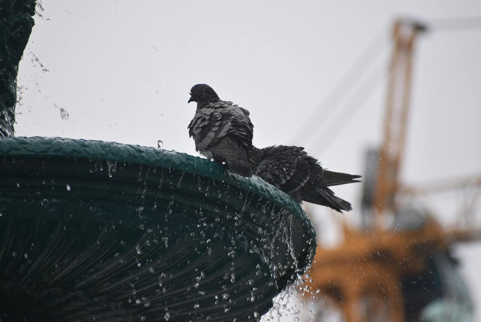 Discover why Porto’s title as Europe’s Best Destination indicates a shift in urban travel toward authenticity, sustainability, and local culture for your next trip.